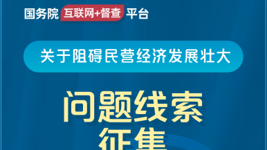 骚逼猛操国务院“互联网+督查”平台公开征集阻碍民营经济发展壮大问题线索